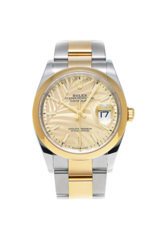 Rolex Datejust 36mm Steel & Yellow Gold Case champagne Palm Dial Oyster Bracelet 126203